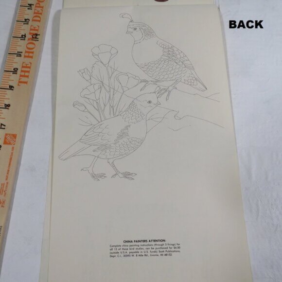 Bird Calendar W/ COLOR SHEET ON REVERSE SIDE Vintage 1981 Collectable LIKE NEW - Picture 5 of 17